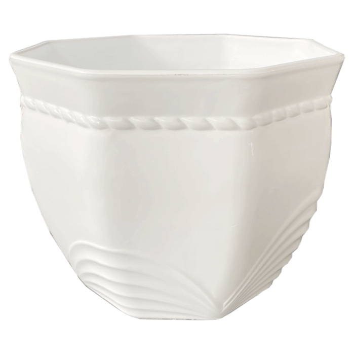 Chậu-cầu-vồng