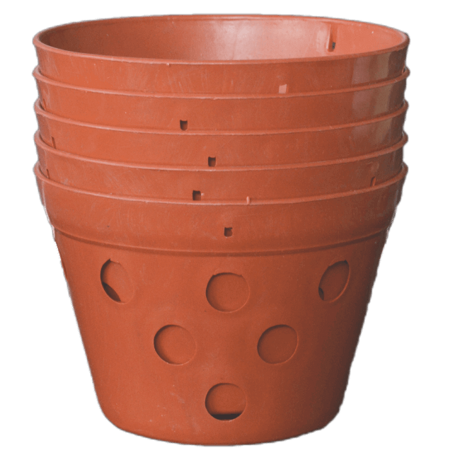 DTA_1428-wpp1596344043917