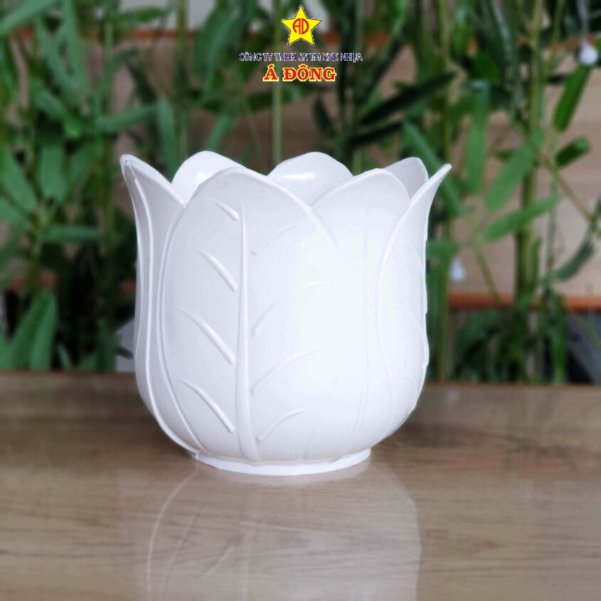 chau-bap-cai-chau-nhua-a-dong_