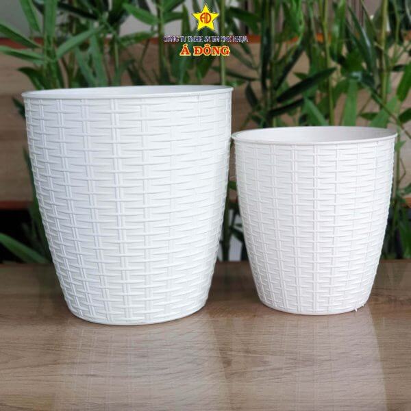 chau-may-dan-tron-chau-nhua-a-dong_-600x600