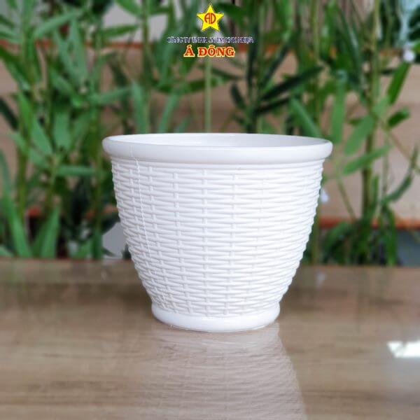 chau-may-dan-vanh-chau-nhua-a-dong_-600x600