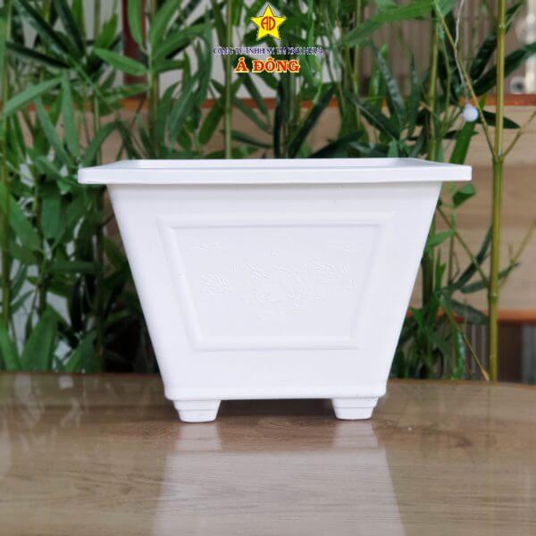 chau-vuong-cao-chau-nhua-a-dong_-600x600