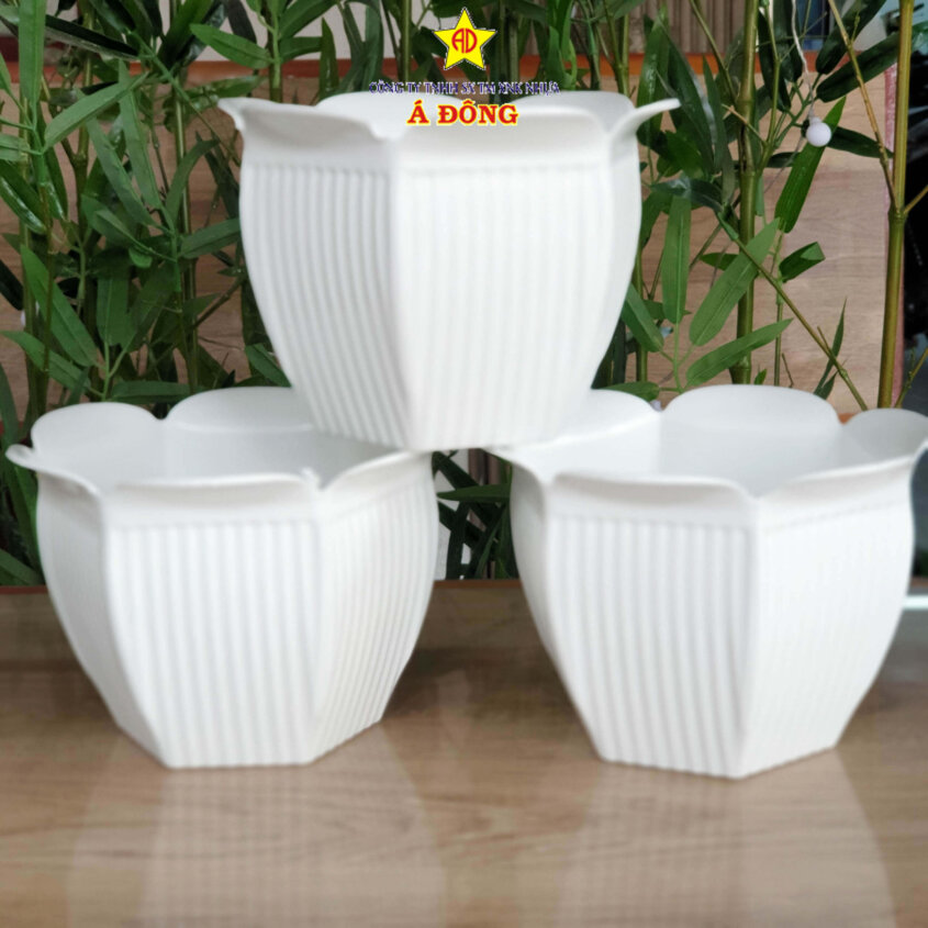 z2391474231563_b42643ca0fd802b4df6db5eb1cee3457