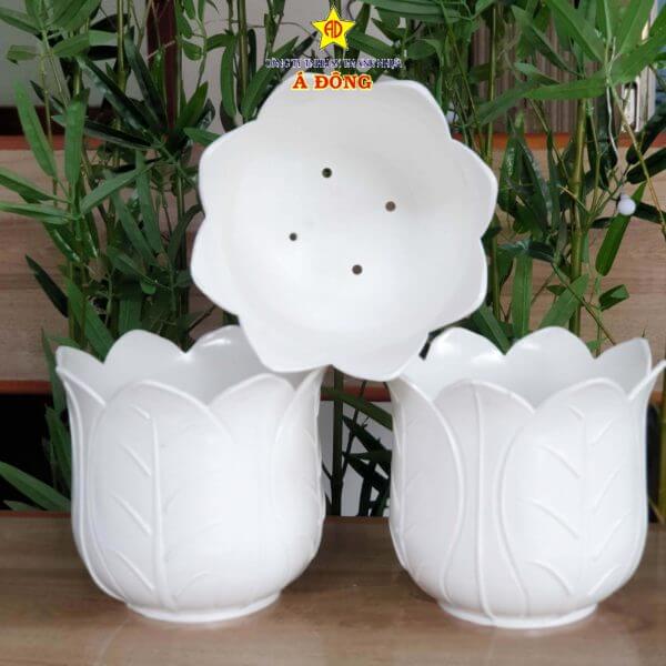 z2391474236669_0cb5de766283978b96b31c5954c7ecf4-600x600