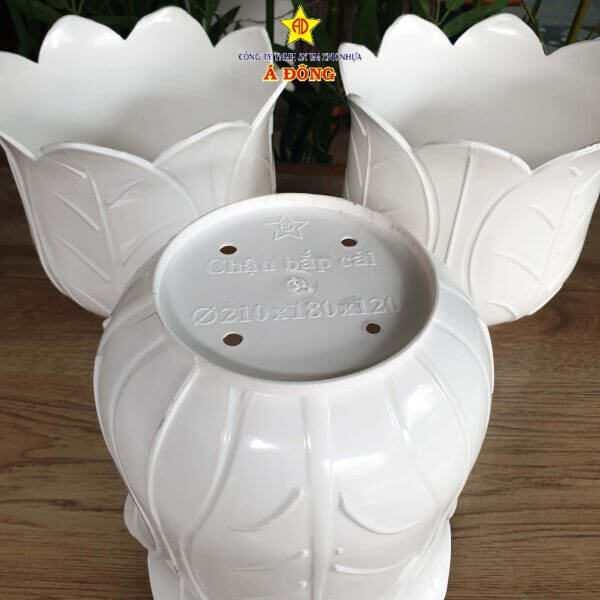 z2391474242458_4a994bf45c346d3c92db4e1c07da935a-600x600