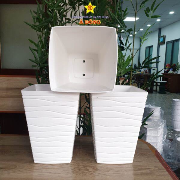 z2391474252930_48e9a1d46847ea5216e162a288d40a84-600x600