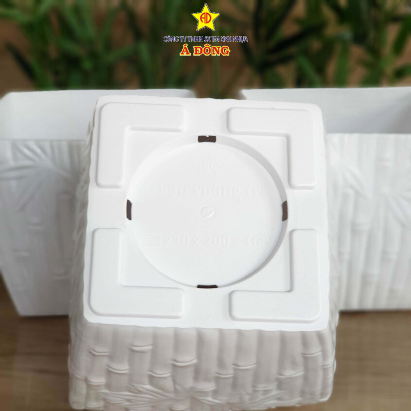 z2391475014670_db1dacf713576a8064688ed6207b6cf9