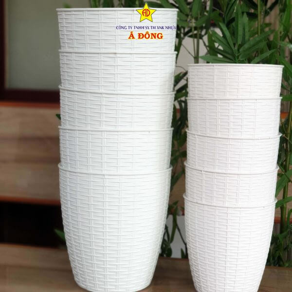 z2391475272340_03be2d9a799139d6621269316589ef41-600x600