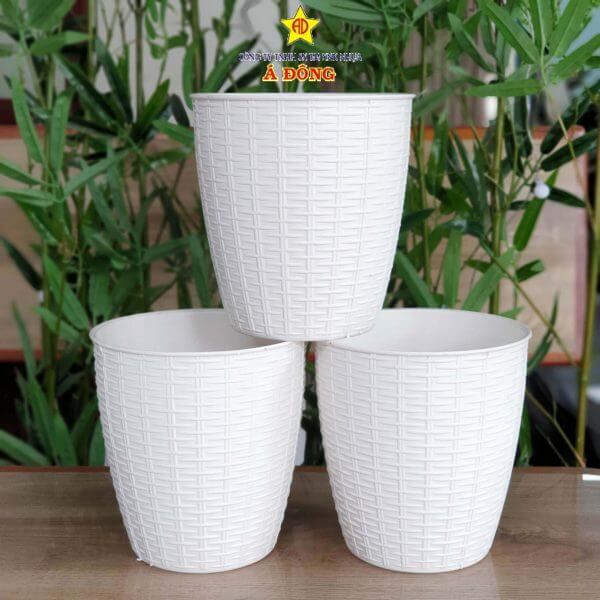 z2391475277725_cea1aa0801aac9a7416f7cd7ad1d97d5-600x600