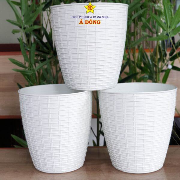 z2391475280737_6545c830b580b2adc4e4b9f5a7ad6830-600x600