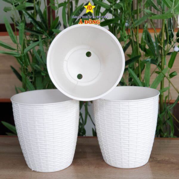 z2391475280923_52fda1ebc88933f2b2c54c8aff87b996-600x600