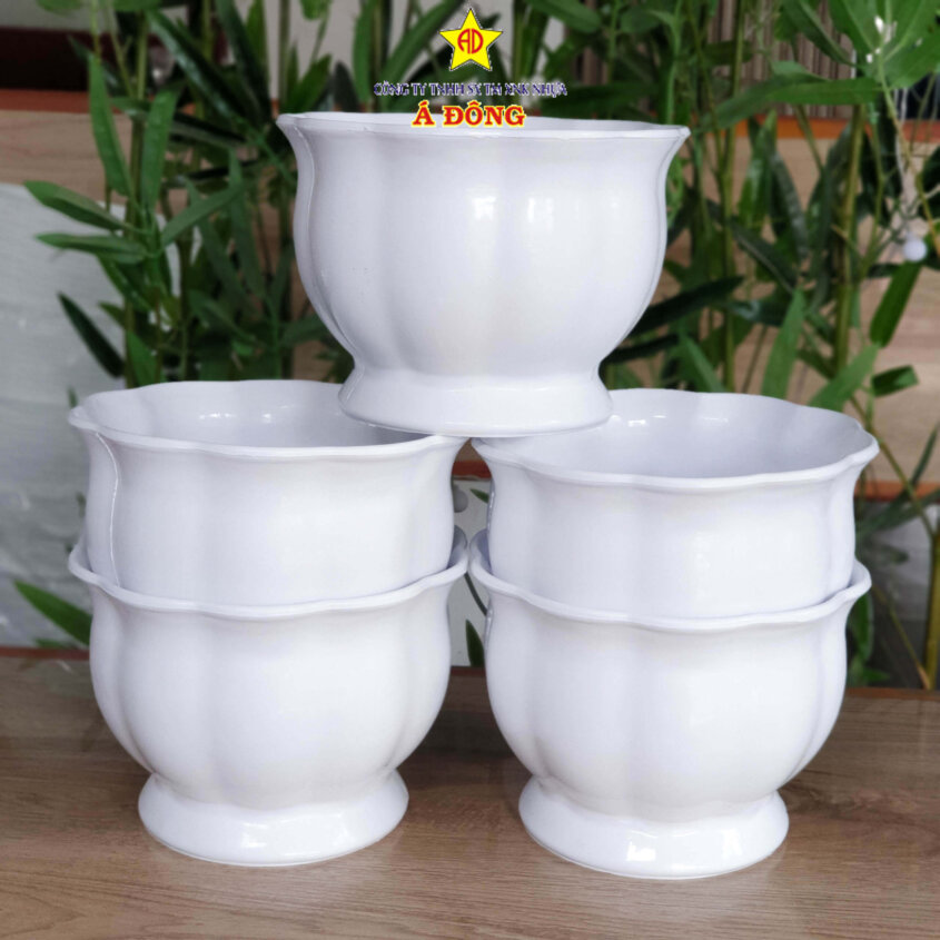 z2391475308269_531a981ea76b5774647c596c90c55b62