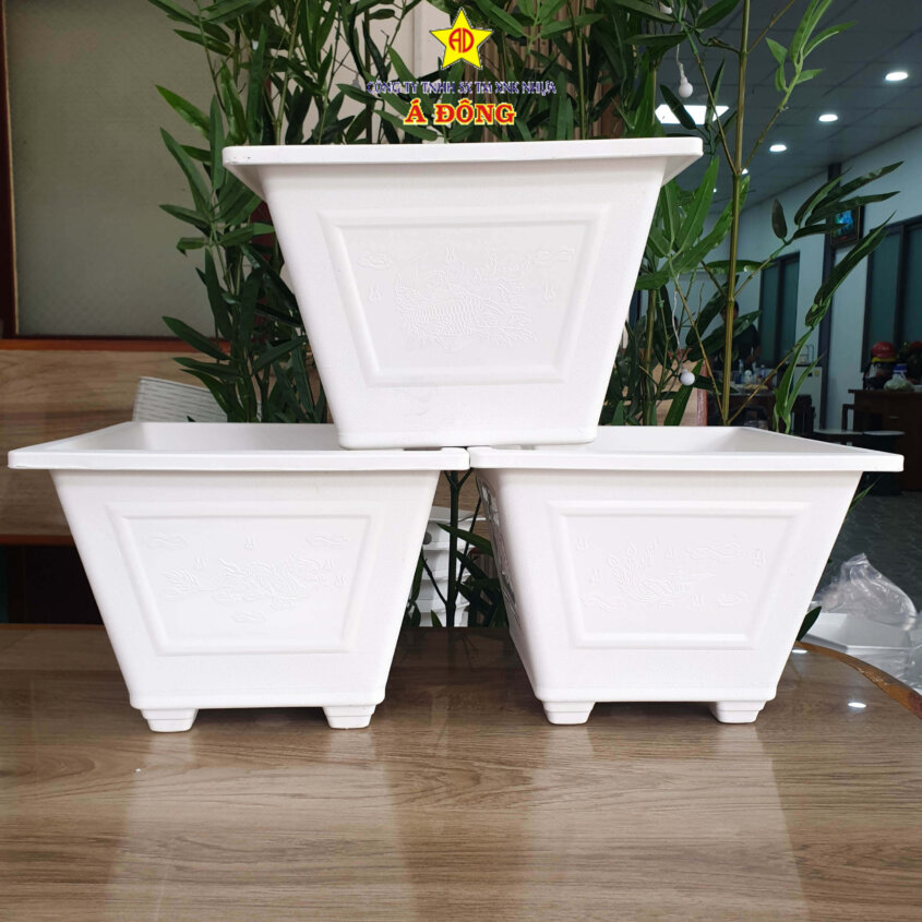 z2391475513158_bf3bd9eb0dd48fe95d44c927d42d5c0d