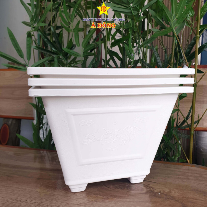 z2391475520352_b9069bd177ab1e616fa32c37d1c08d82